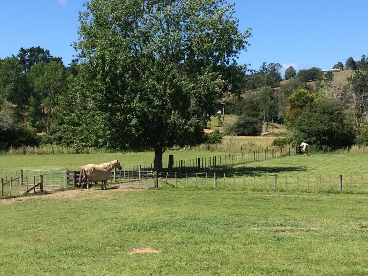 Hunua Ranges Bed & Breakfast Bagian luar foto
