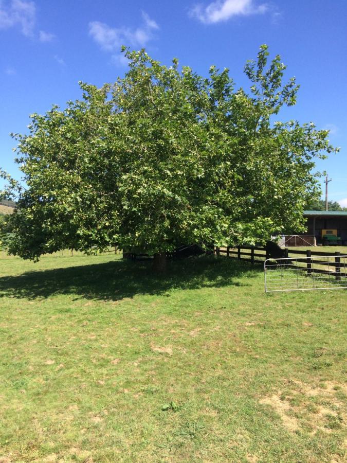 Hunua Ranges Bed & Breakfast Bagian luar foto