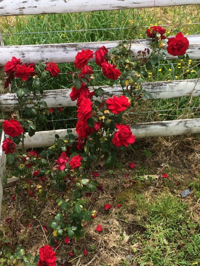 Hunua Ranges Bed & Breakfast Bagian luar foto