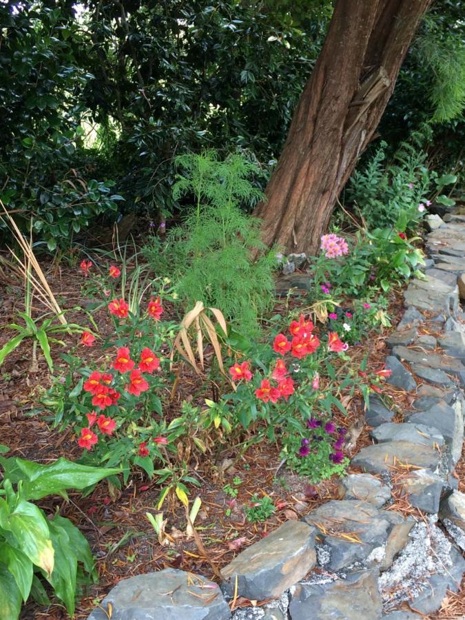 Hunua Ranges Bed & Breakfast Bagian luar foto
